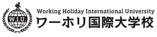 Working Holiday International University